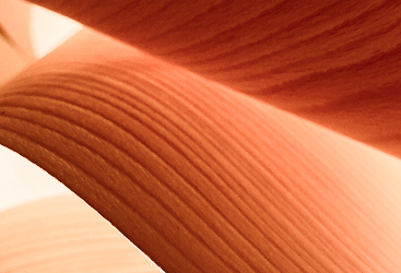 Image Case Studies 2